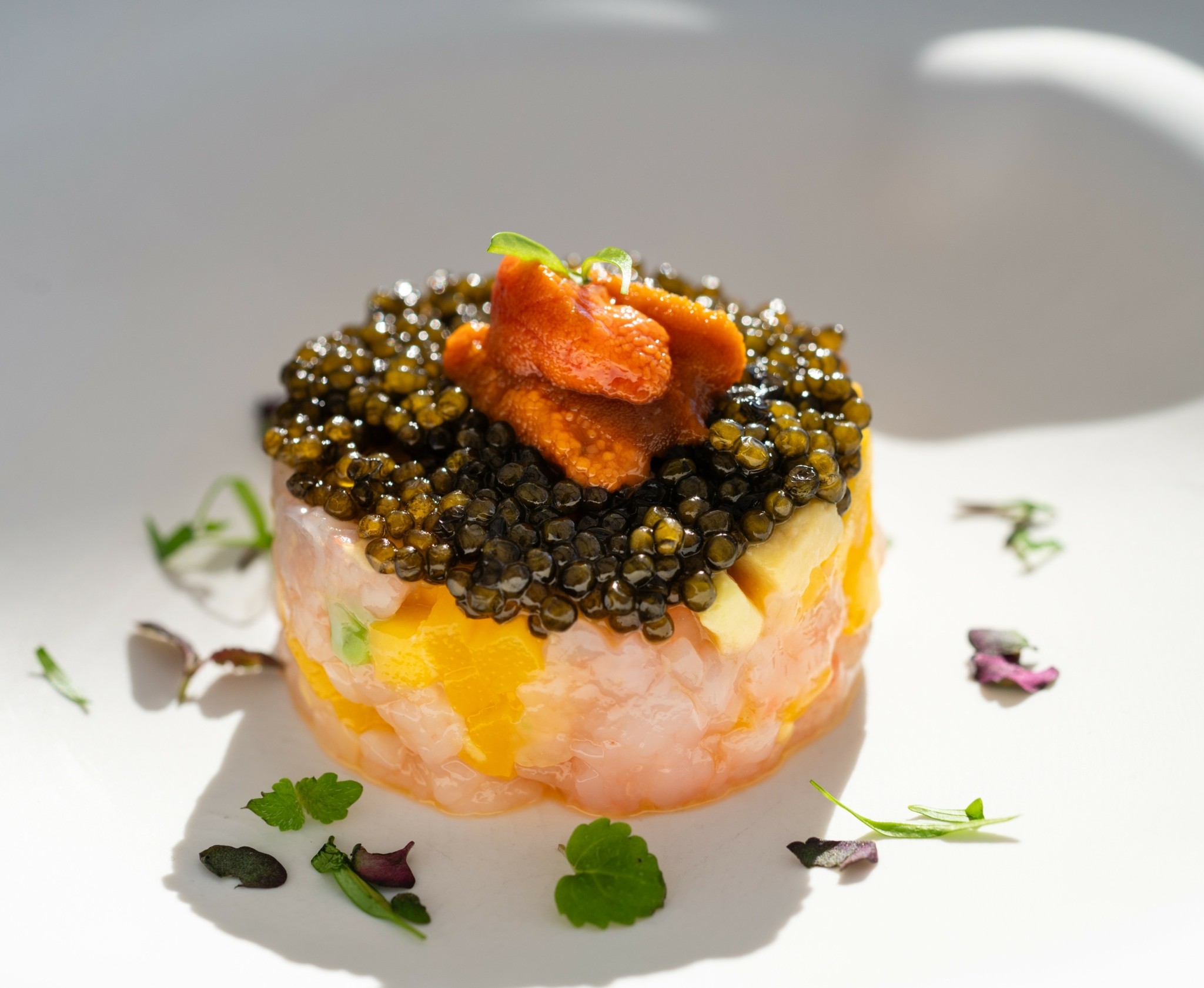 Ξεκινά “Η εβδομάδα της αγάπης” στο ξενοδοχείο The Dolli