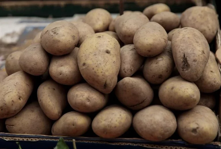 Πατάτες Νάξου: Γιατί δεν υπάρχουν στα σούπερ μάρκετ (vid)