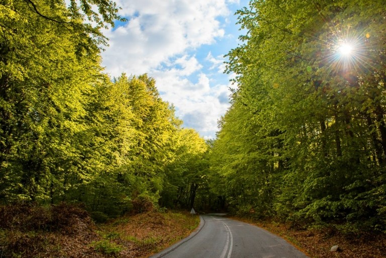 Ελληνικός Χρυσός: Χρονιά ορόσημο το 2023 για τη βιώσιμη ανάπτυξη και ευημερία της ΒΑ Χαλκιδικής (pics)