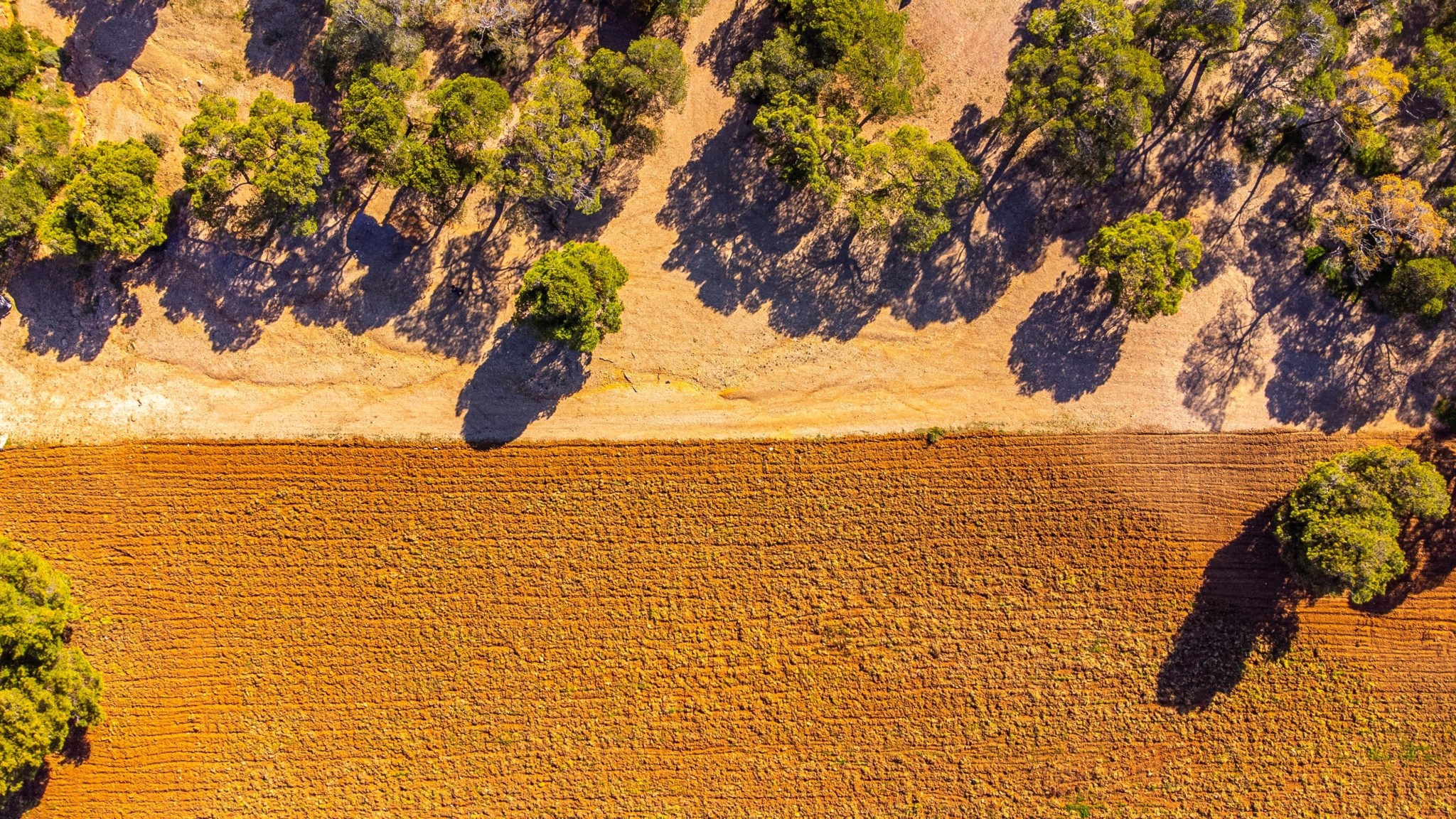 Εθνικός Δρυμός Σουνίου: Εμπειρία απόδρασης σε ένα διαμάντι της αττικής γης
