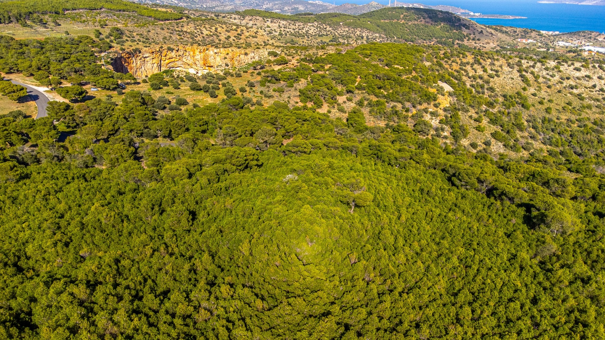 Εθνικός Δρυμός Σουνίου: Εμπειρία απόδρασης σε ένα διαμάντι της αττικής γης