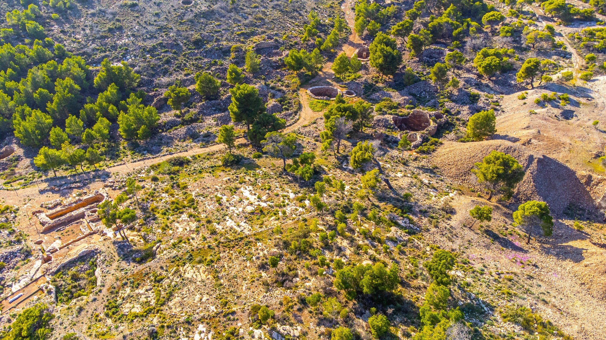 Εθνικός Δρυμός Σουνίου: Εμπειρία απόδρασης σε ένα διαμάντι της αττικής γης