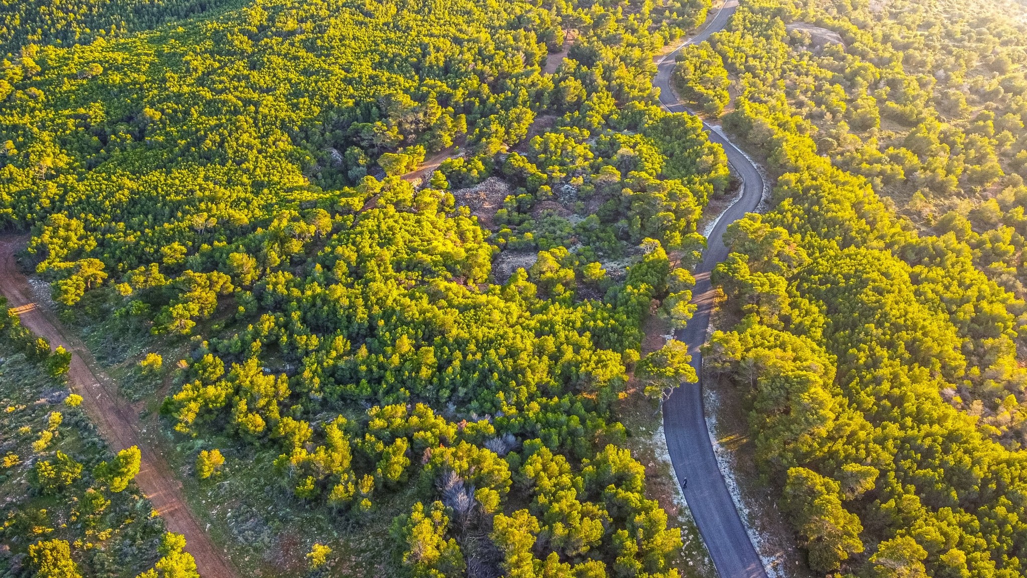 Εθνικός Δρυμός Σουνίου: Εμπειρία απόδρασης σε ένα διαμάντι της αττικής γης