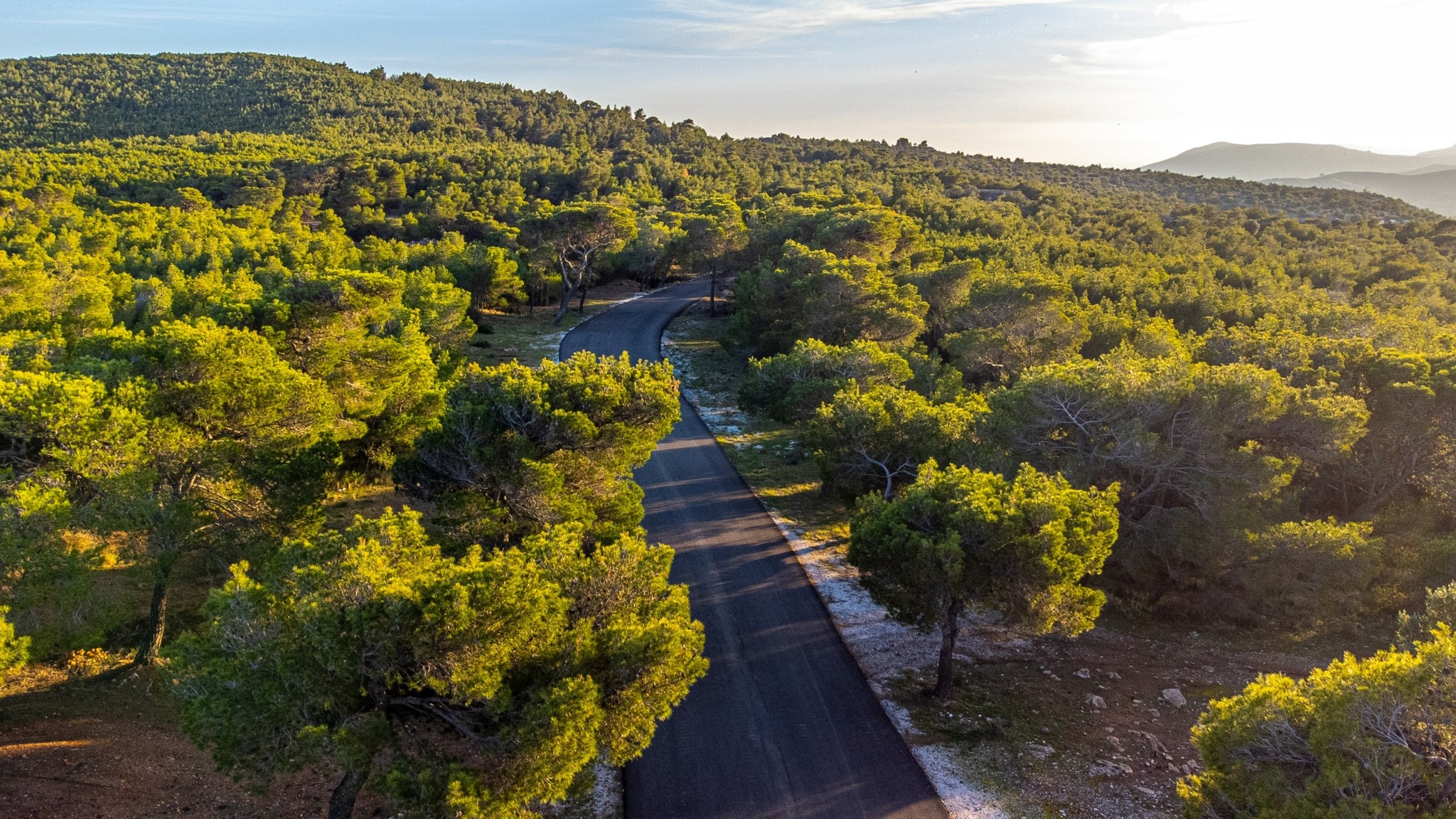 Εθνικός Δρυμός Σουνίου: Εμπειρία απόδρασης σε ένα διαμάντι της αττικής γης