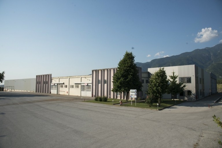 Ζευς ακτινίδια: Πώς μία πολυμετοχική εταιρεία παραγωγών έγινε πρότυπο εξωστρέφειας