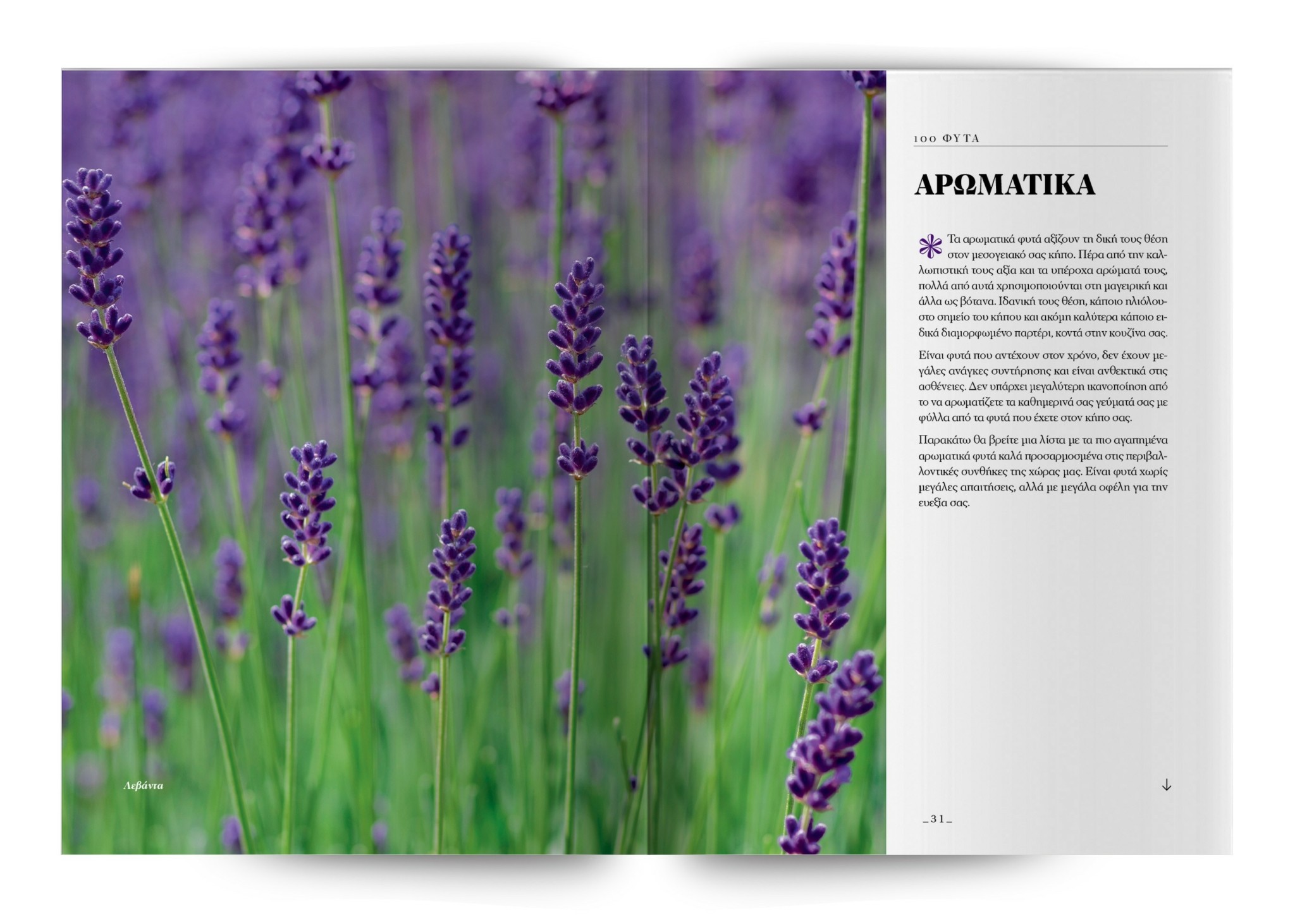 100 φυτά για να δημιουργήσετε τον κήπο των ονείρων σας