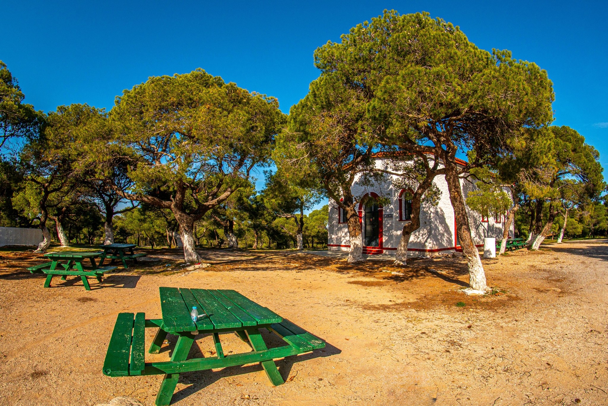 Εθνικός Δρυμός Σουνίου: Εμπειρία απόδρασης σε ένα διαμάντι της αττικής γης