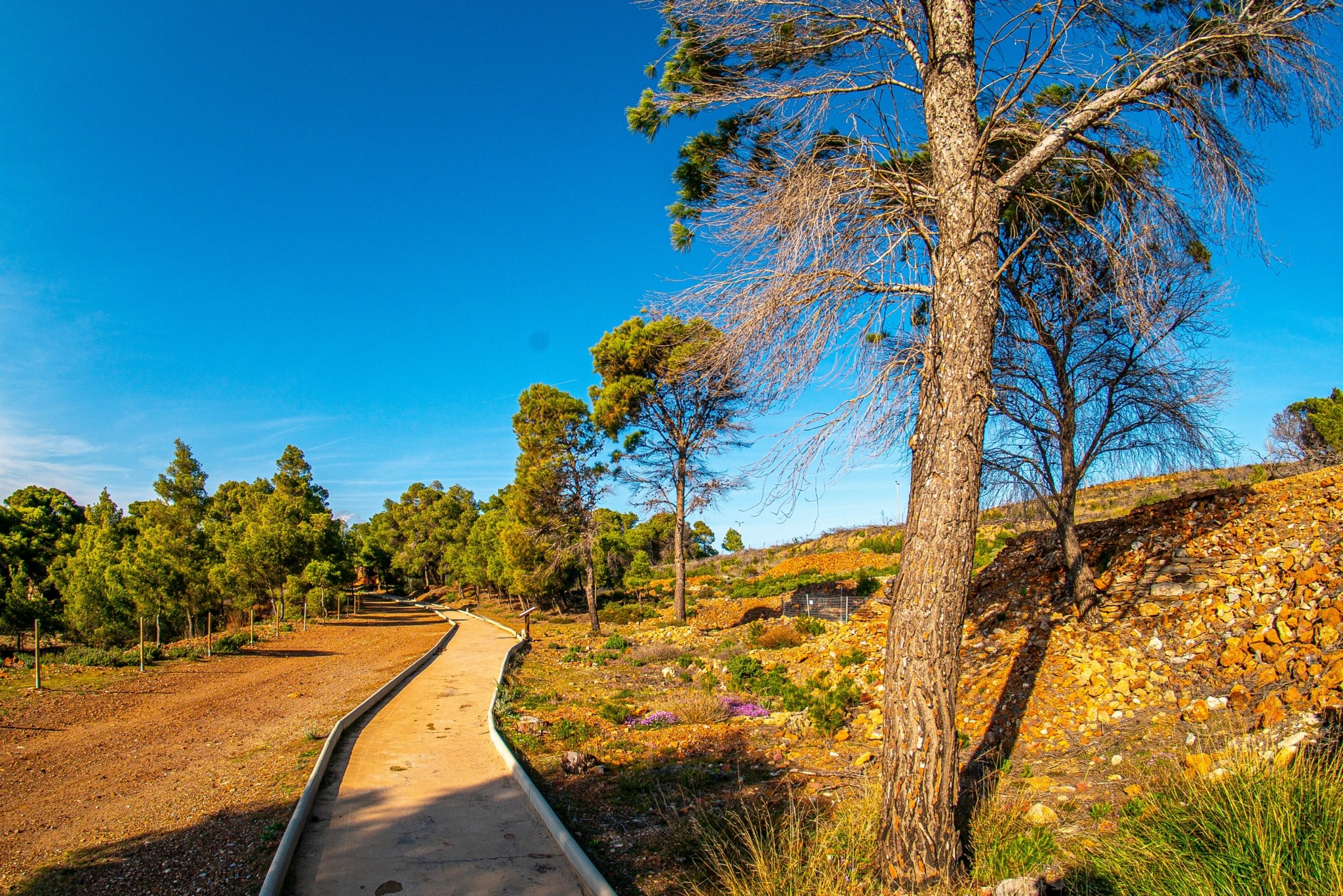 Εθνικός Δρυμός Σουνίου: Εμπειρία απόδρασης σε ένα διαμάντι της αττικής γης