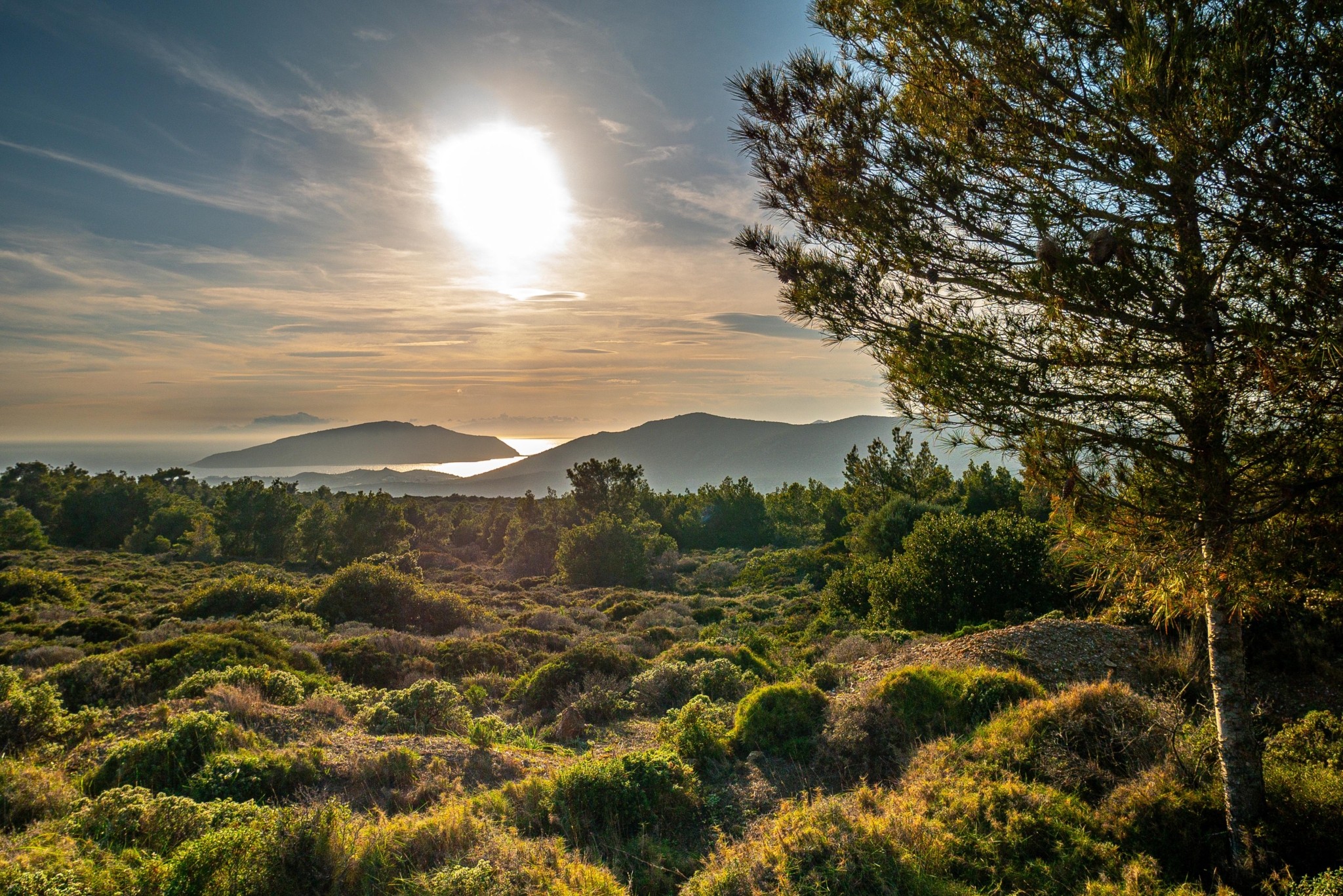 Εθνικός Δρυμός Σουνίου: Εμπειρία απόδρασης σε ένα διαμάντι της αττικής γης
