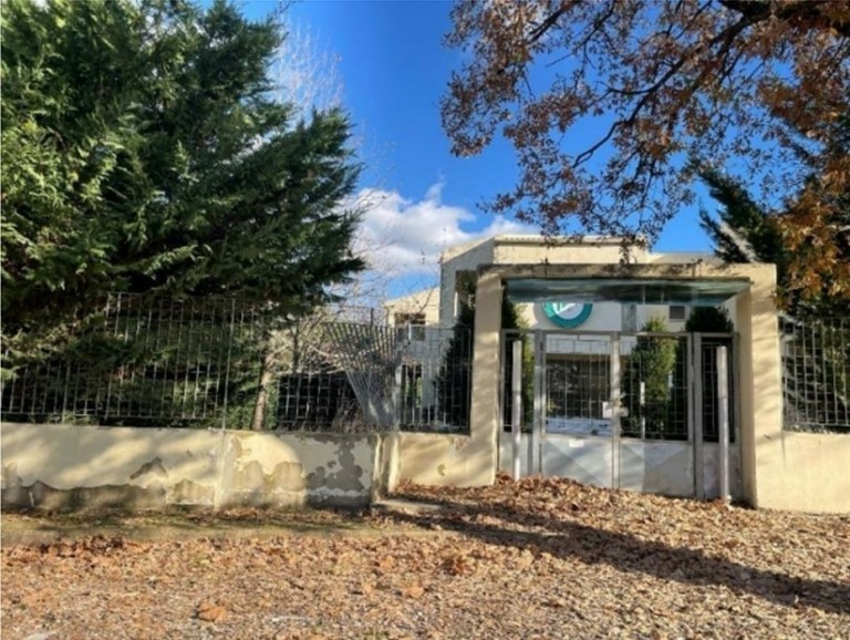 Pano Finance: Νέα σφυριά σε βάρος της… πρώτης εισπρακτικής (pics)