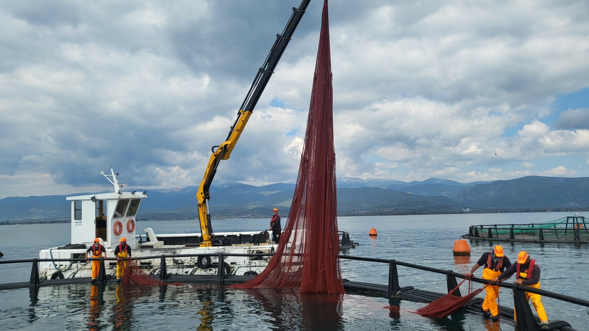 Philosofish: Στοχεύει σε τζίρο 120 εκατ. ευρώ και ενισχύει το εξαγωγικό της αποτύπωμα