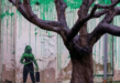 Λονδίνο: Το μήνυμα πίσω από το «πράσινο» δέντρο του Banksy (pics + vid)
