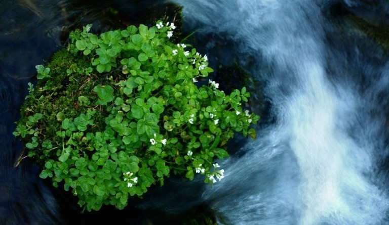 Το νερό που μας αξίζει είναι πολυβραβευμένο