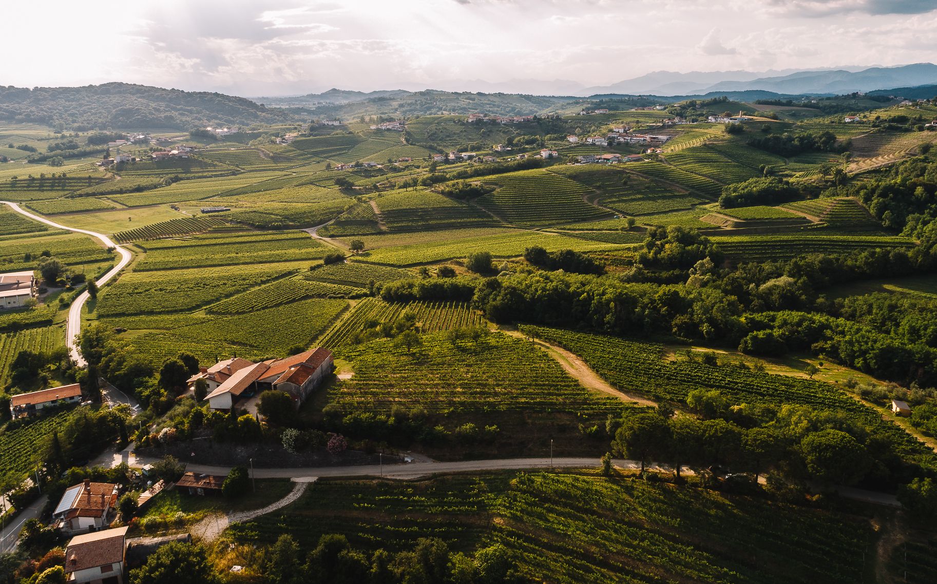 Ο παραγωγός που τρελαίνει τους οινοκριτικούς