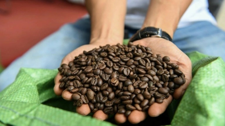 Νέο ρεκόρ υψηλό για τον καφέ robusta – Από κοντά και η ποικιλία arabica (γράφημα)