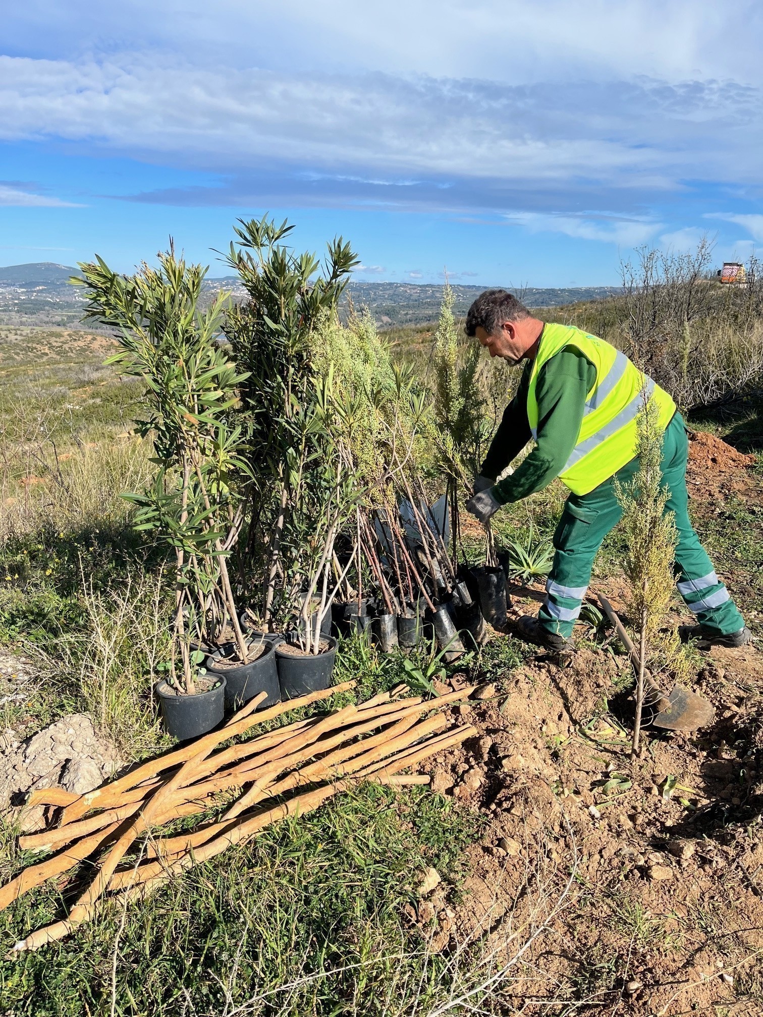 Αττική Οδός: Συμμετέχει στο πρόγραμμα «Το δάσος μας» – Αναδασώνει καμένες περιοχές στο Ντράφι Πεντέλης (pic)