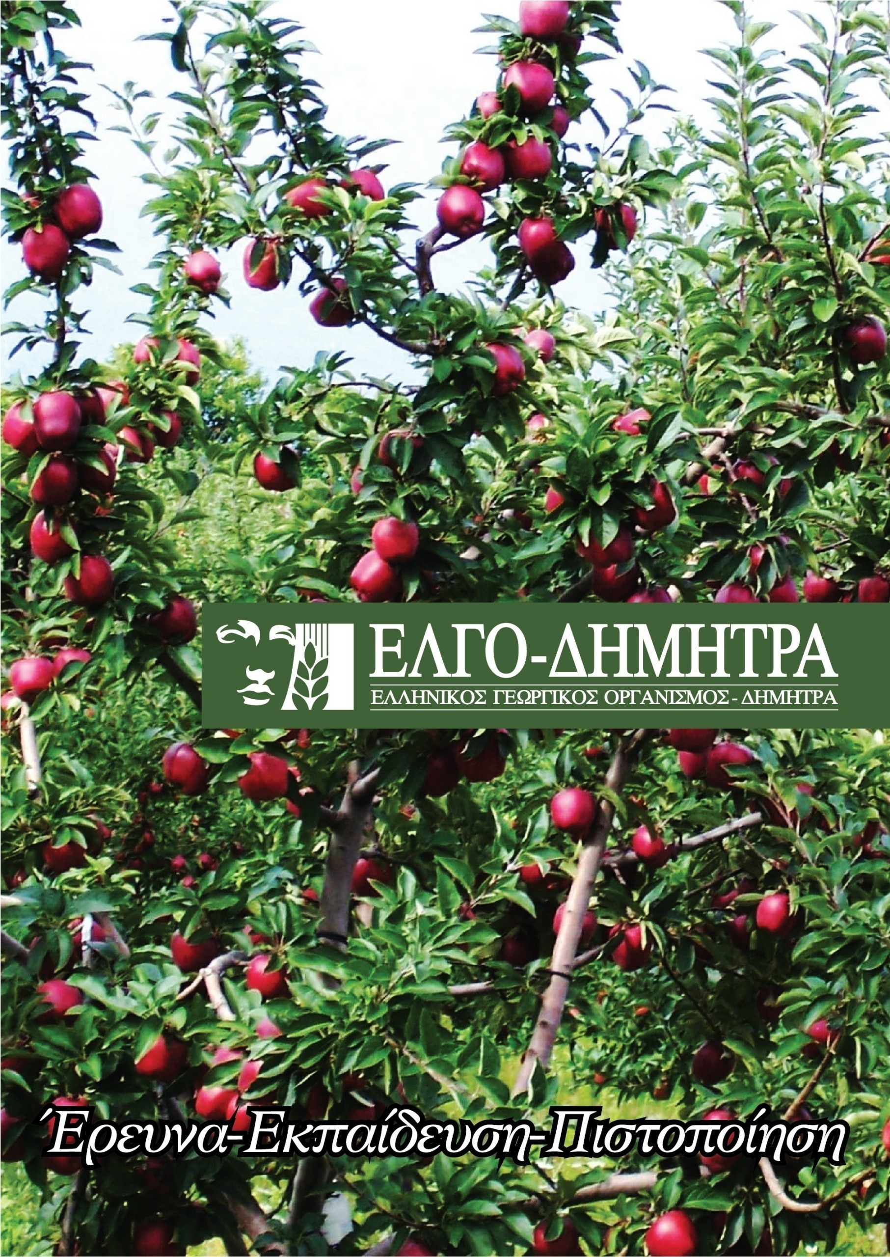 ΕΛΓΟ – ΔΗΜΗΤΡΑ: Ξεκίνησαν οι αιτήσεις για 11 θέσεις Διευθυντών στα Ινστιτούτα Αγροτικής Έρευνας – Μέχρι πότε ισχύει η προθεσμία