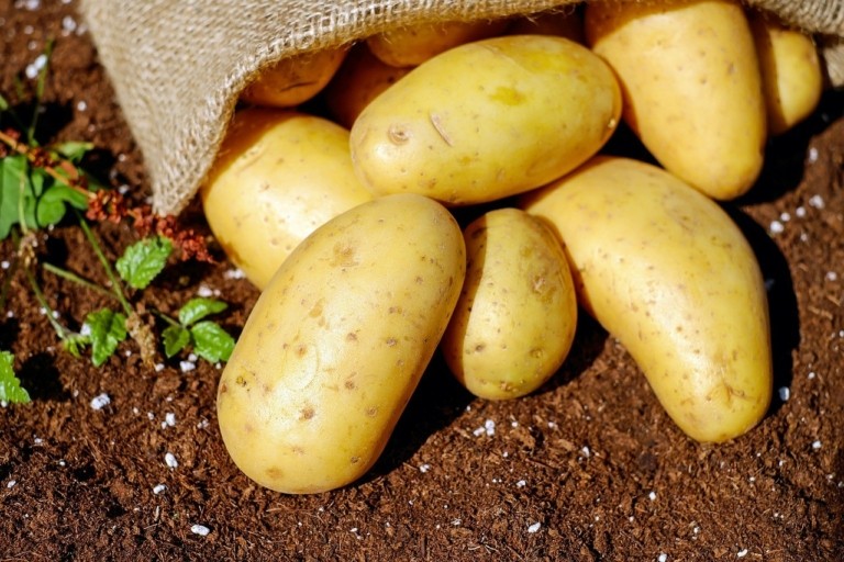 Κλιματική αλλαγή: Θα ξεμείνουμε από πατάτες;