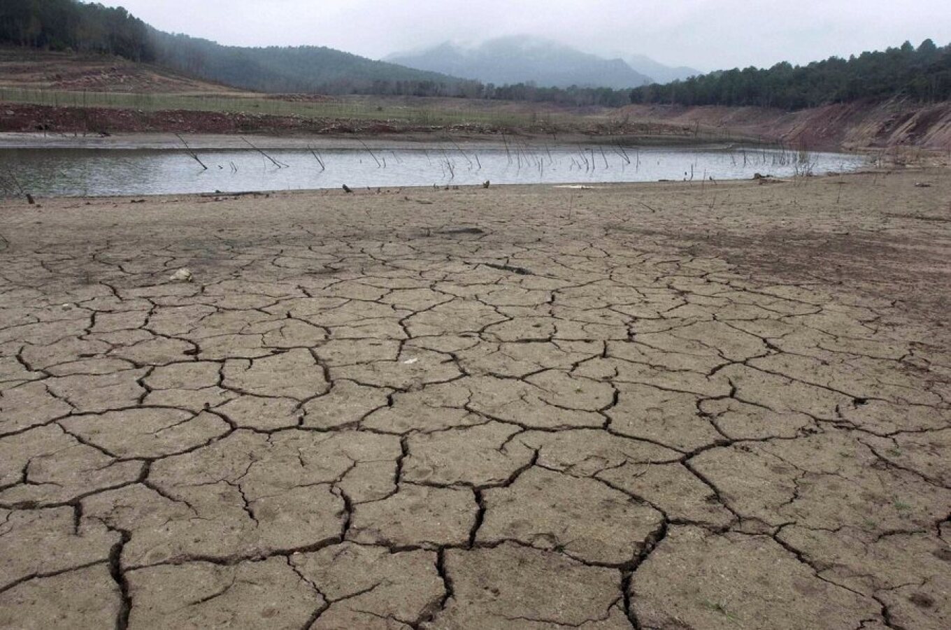 Κλιματική κρίση: Ξηρασία στο μεγαλύτερο μέρος της ανατολικής ηπειρωτικής Ελλάδας – Κίνδυνος ερημοποίησης σε περιοχές