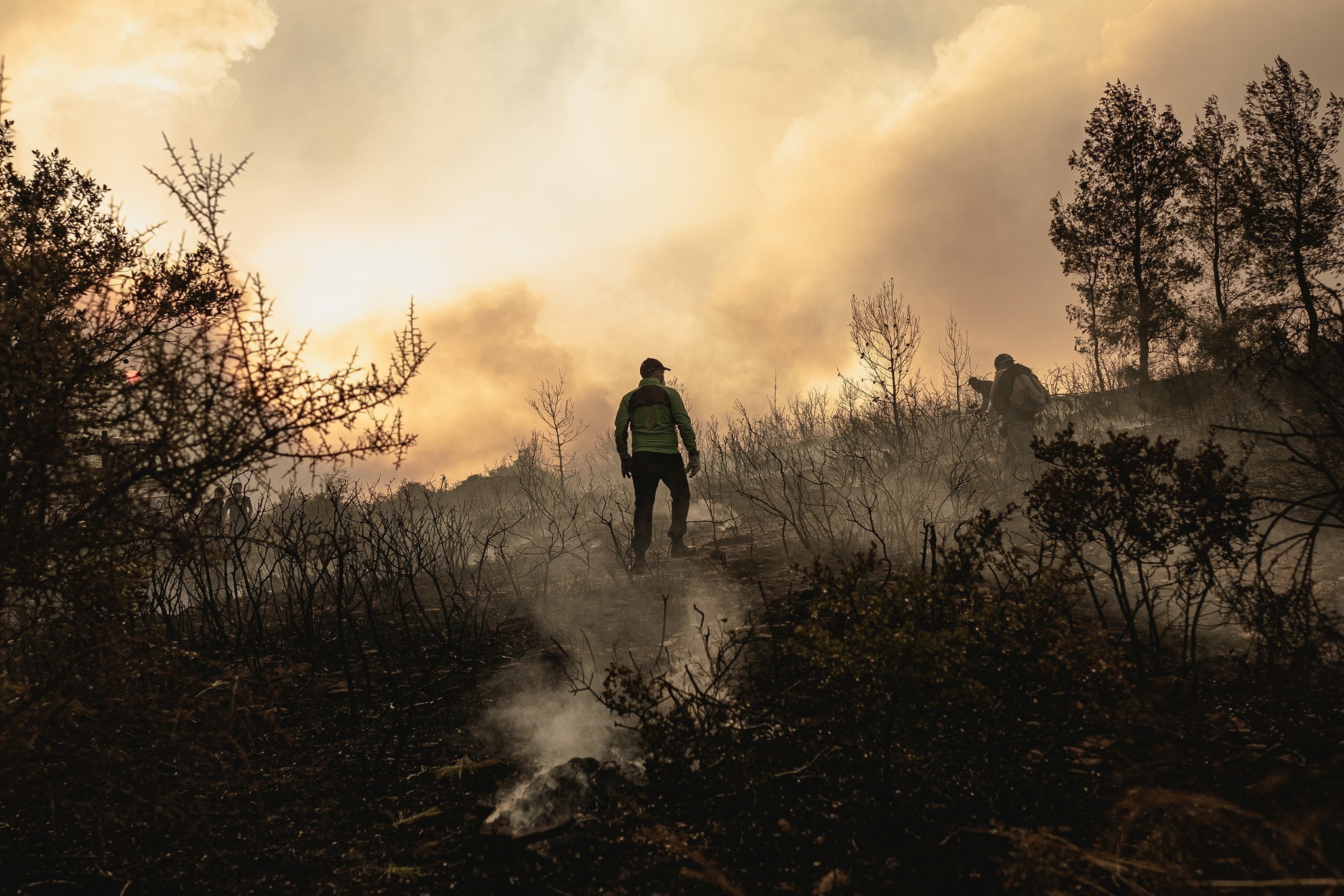 Υπουργείο Κλιματικής Κρίσης: Πώς εξοπλίζεται η χώρα για τη θερινή «μάχη» των πυρκαγιών