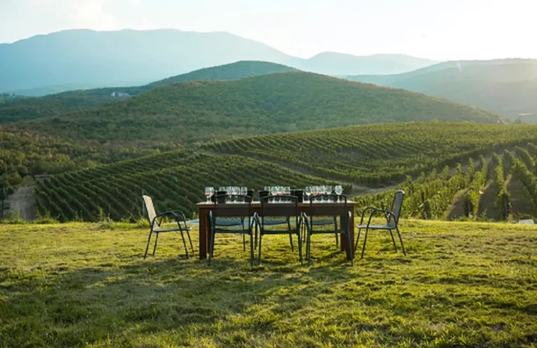 Εμπειρία: Τα οινοποιεία της Βορείου Ελλάδος ανοίγουν τις πόρτες τους