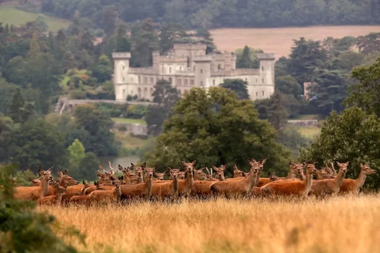 Tο κάστρο της τηλεοπτικής σειράς Succession είναι βγαλμένο από παραμύθι