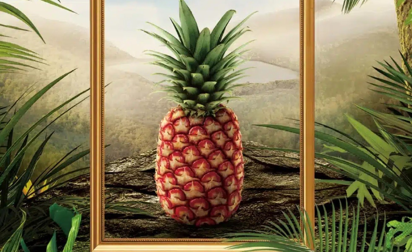 Γκουρμέ τρέλα: Πώς γίνεται ένας ανανάς να κοστίζει 400 δολάρια (tweet)