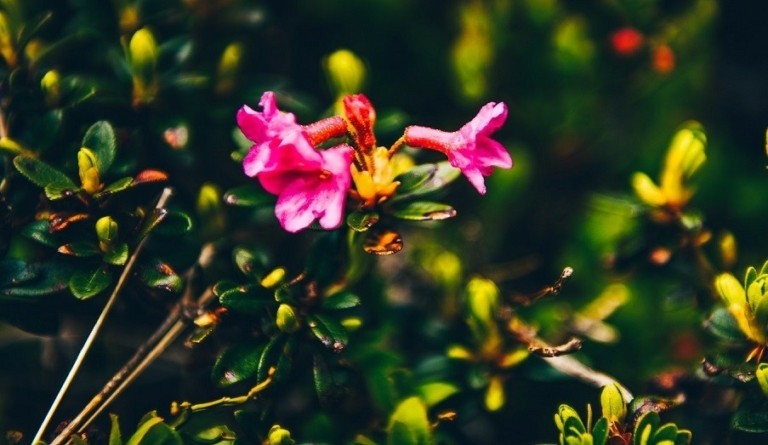 Επιλέγουμε την ποιότητα, με αγνό νερό χωρίς νιτρικά