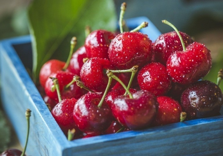 Κεράσι: Με προβλήματα ξεκίνησε η παραγωγή – Στα ύψη οι τιμές του