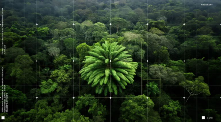 Νέο φυτό, μόνο, ψάχνει… θηλυκό