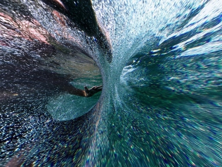 Dive to Fly: Μία φωτογραφική βουτιά στο θαλάσσιο πλούτο της Γένοβας (pics)