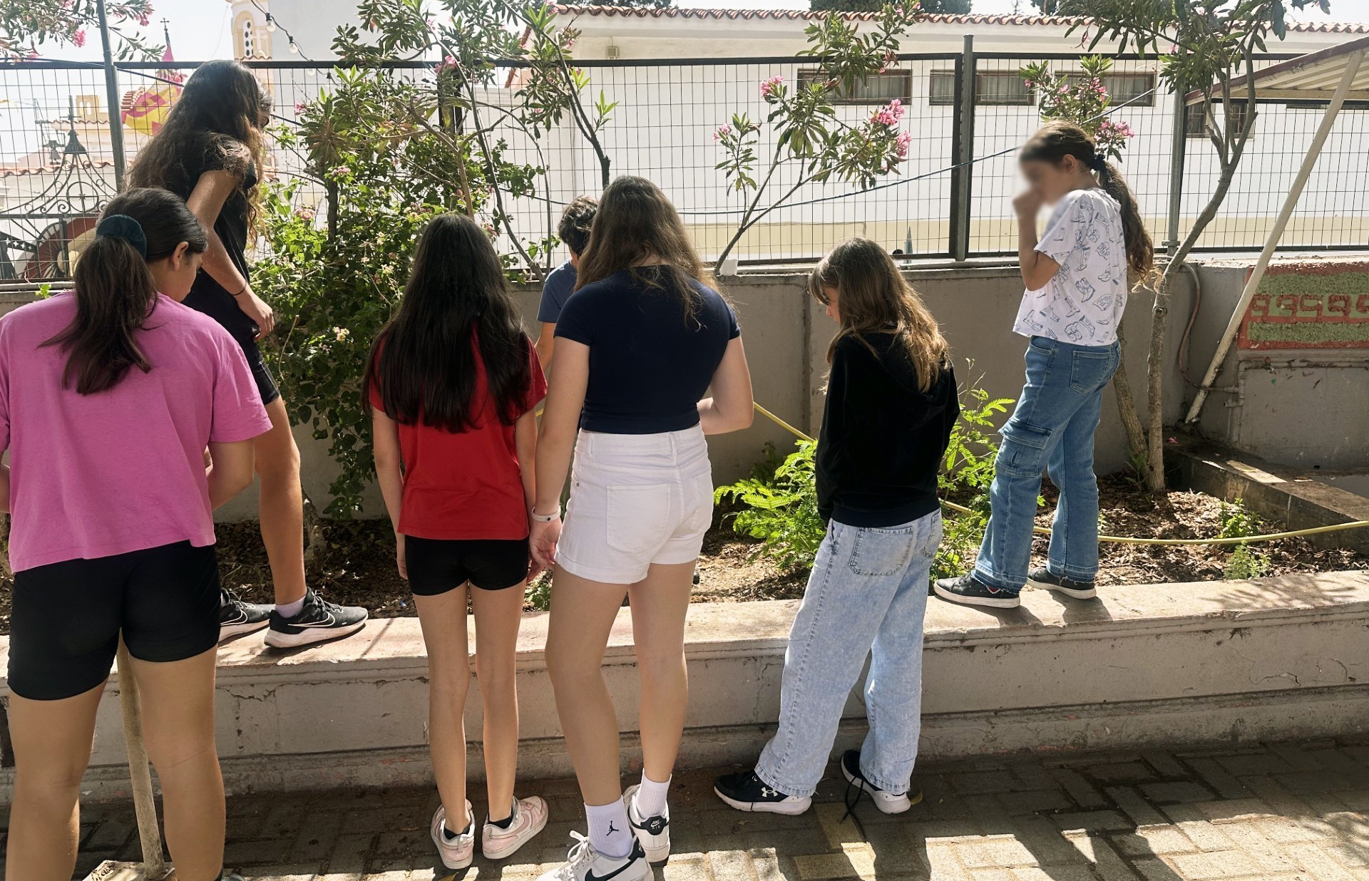 «Green School by Τράπεζα Χανίων» για την ενδυνάμωση της περιβαλλοντικής συνείδησης των μαθητών (pic)