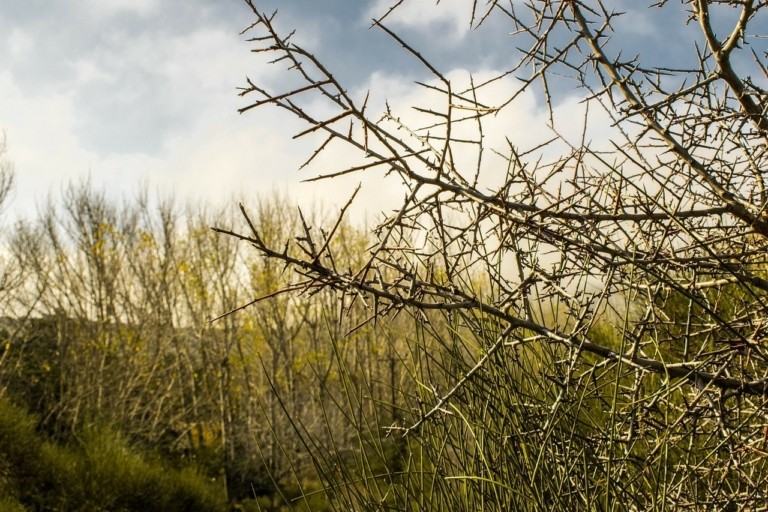 Πάρνηθα: Επιτέθηκαν και μαχαίρωσαν εθελοντές που καθάριζαν την περιοχή