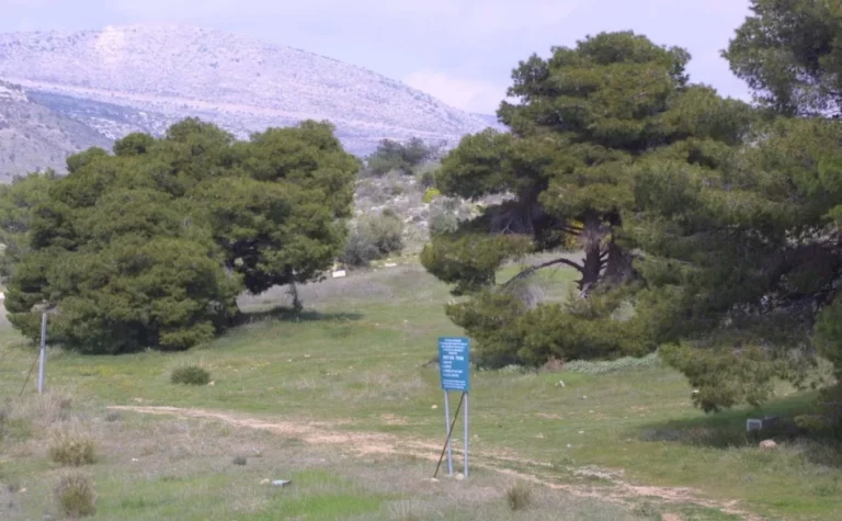 Καταπατημένα Δημοσίου: Πότε ανοίγει η πλατφόρμα για αιτήσεις εξαγοράς