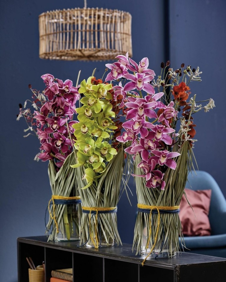 Η εξωτική ορχιδέα της Σάμου: Πώς να φροντίσετε το φυτό που θυμίζει ζούγκλα