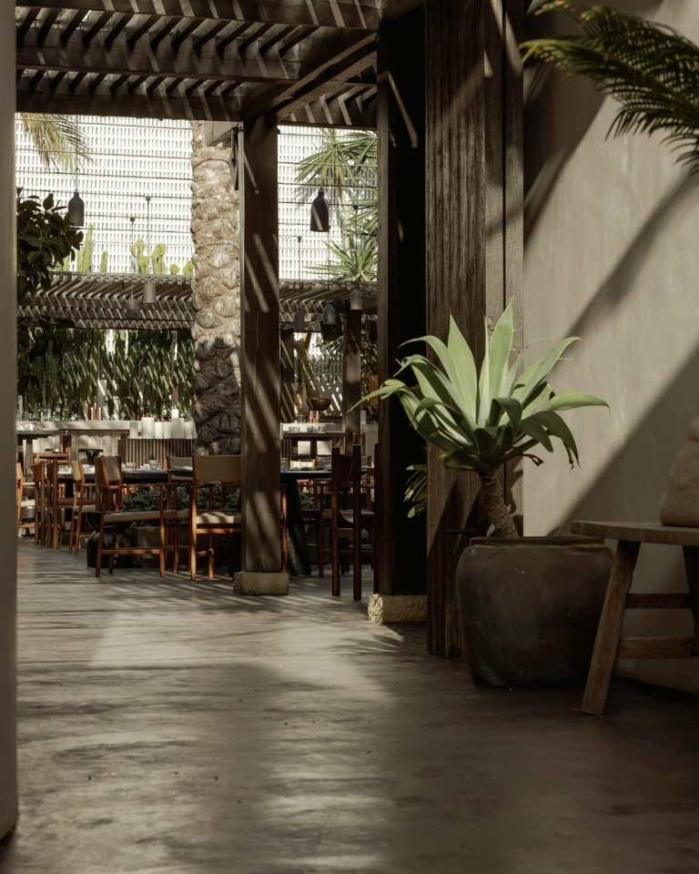 Ανακαλύπτοντας το Nōema της Μυκόνου: Ενα εστιατόριο-συναίσθημα