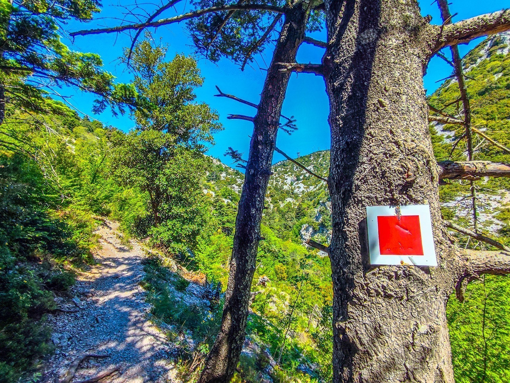 Ο χαμένος παράδεισος: Ανάβαση στην Πάρνηθα από τη χαράδρα της Χούνης