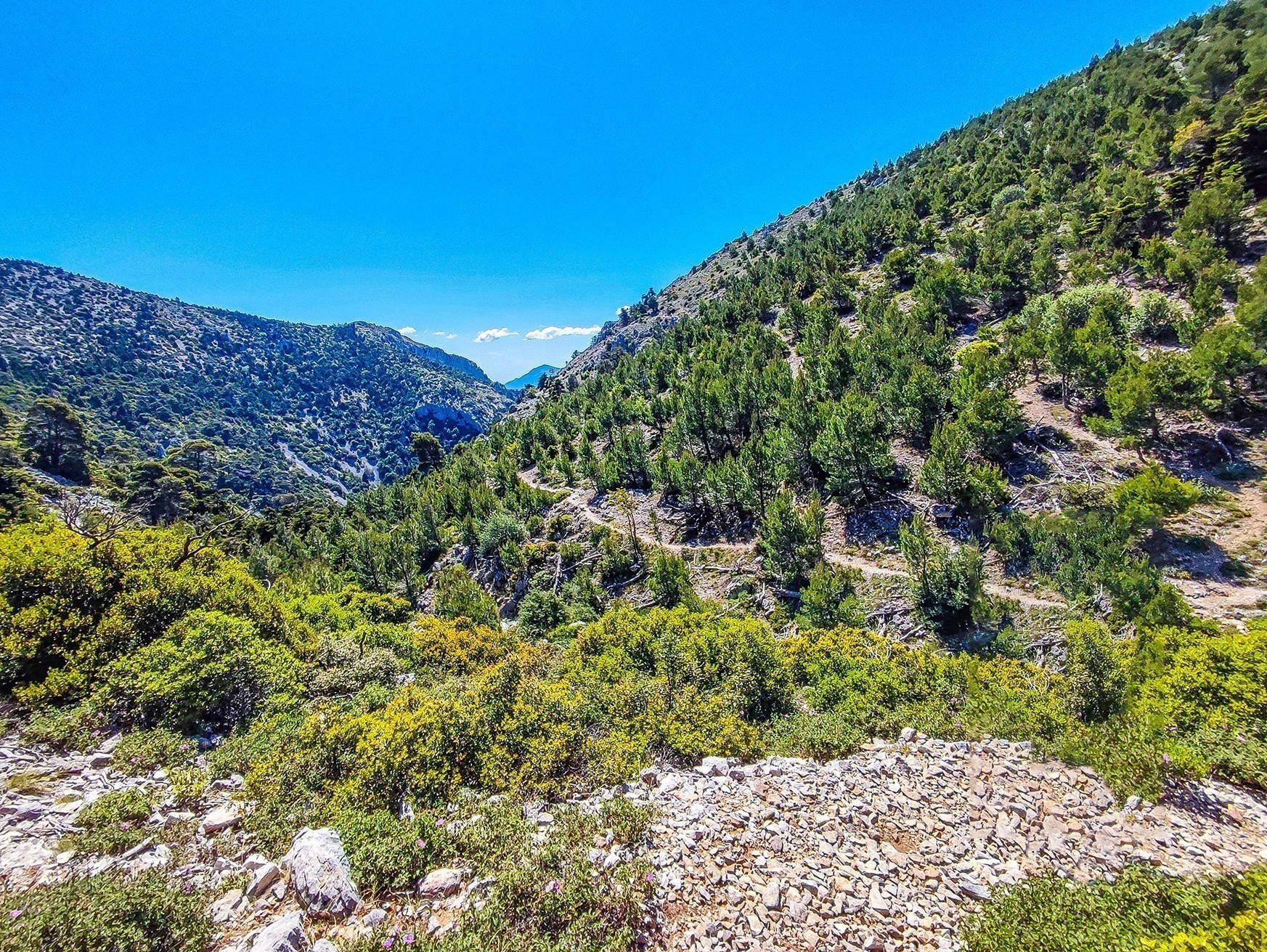 Ο χαμένος παράδεισος: Ανάβαση στην Πάρνηθα από τη χαράδρα της Χούνης