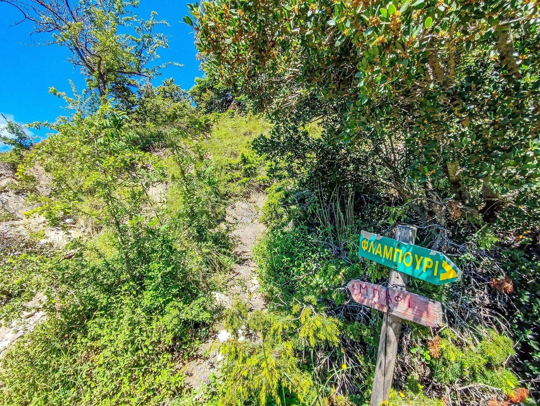 Ο χαμένος παράδεισος: Ανάβαση στην Πάρνηθα από τη χαράδρα της Χούνης