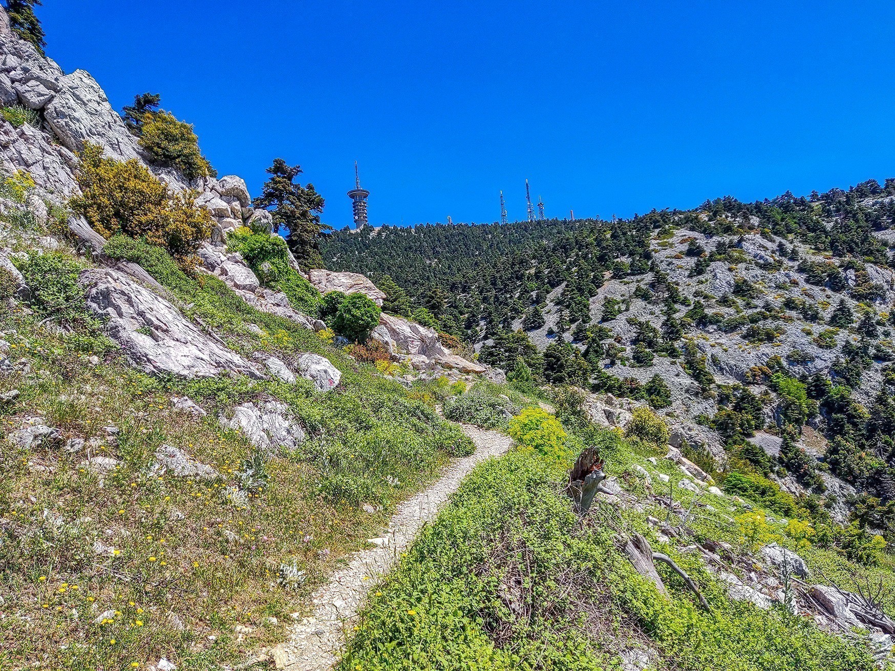 Ο χαμένος παράδεισος: Ανάβαση στην Πάρνηθα από τη χαράδρα της Χούνης