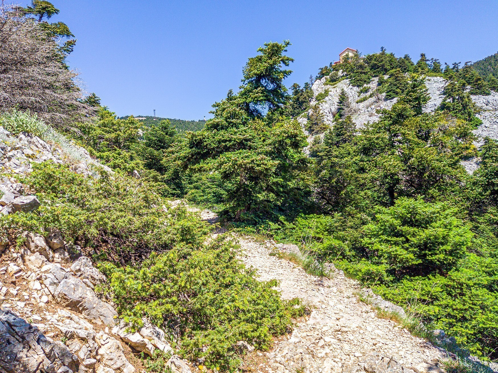 Ο χαμένος παράδεισος: Ανάβαση στην Πάρνηθα από τη χαράδρα της Χούνης