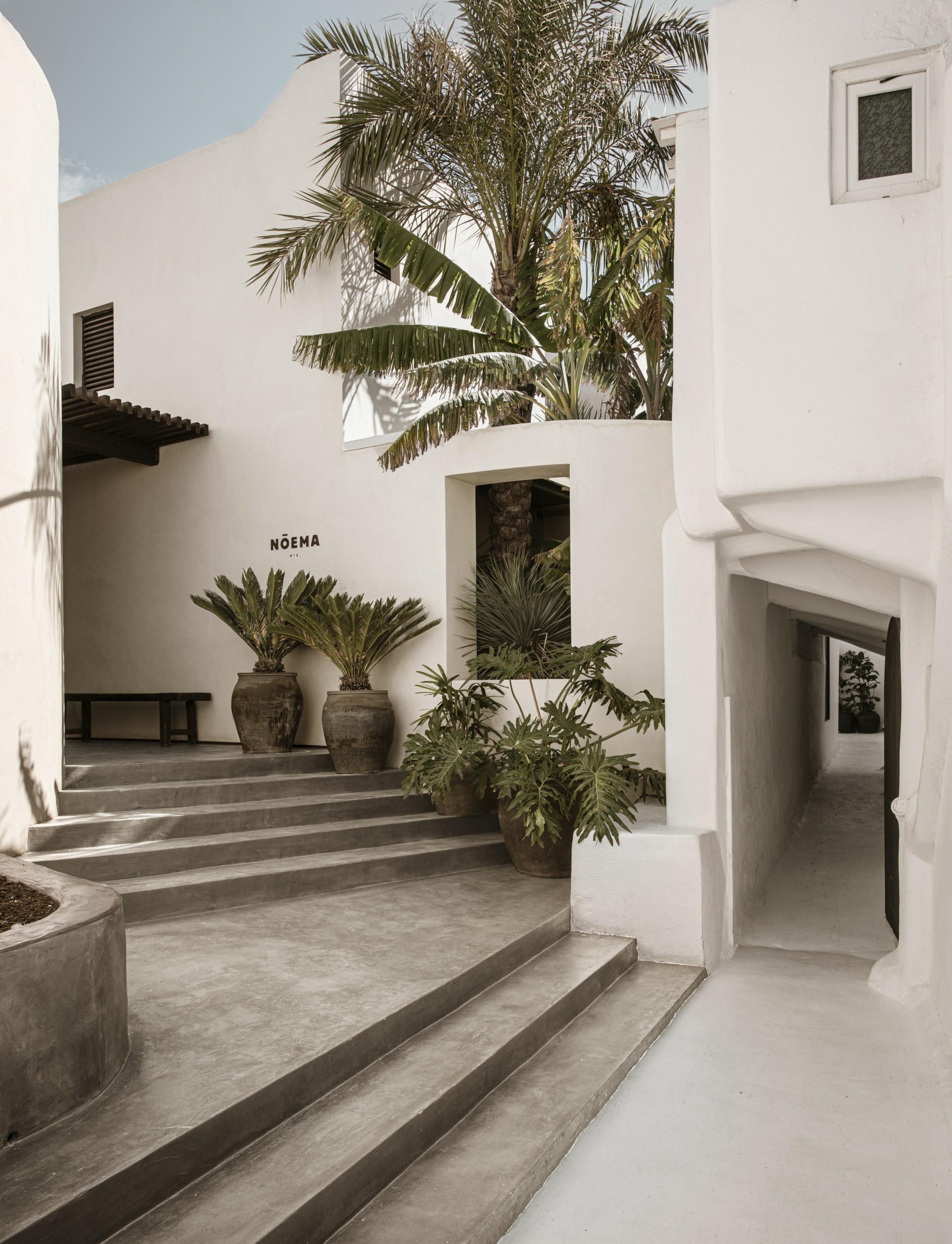 Ανακαλύπτοντας το Nōema της Μυκόνου: Ενα εστιατόριο-συναίσθημα