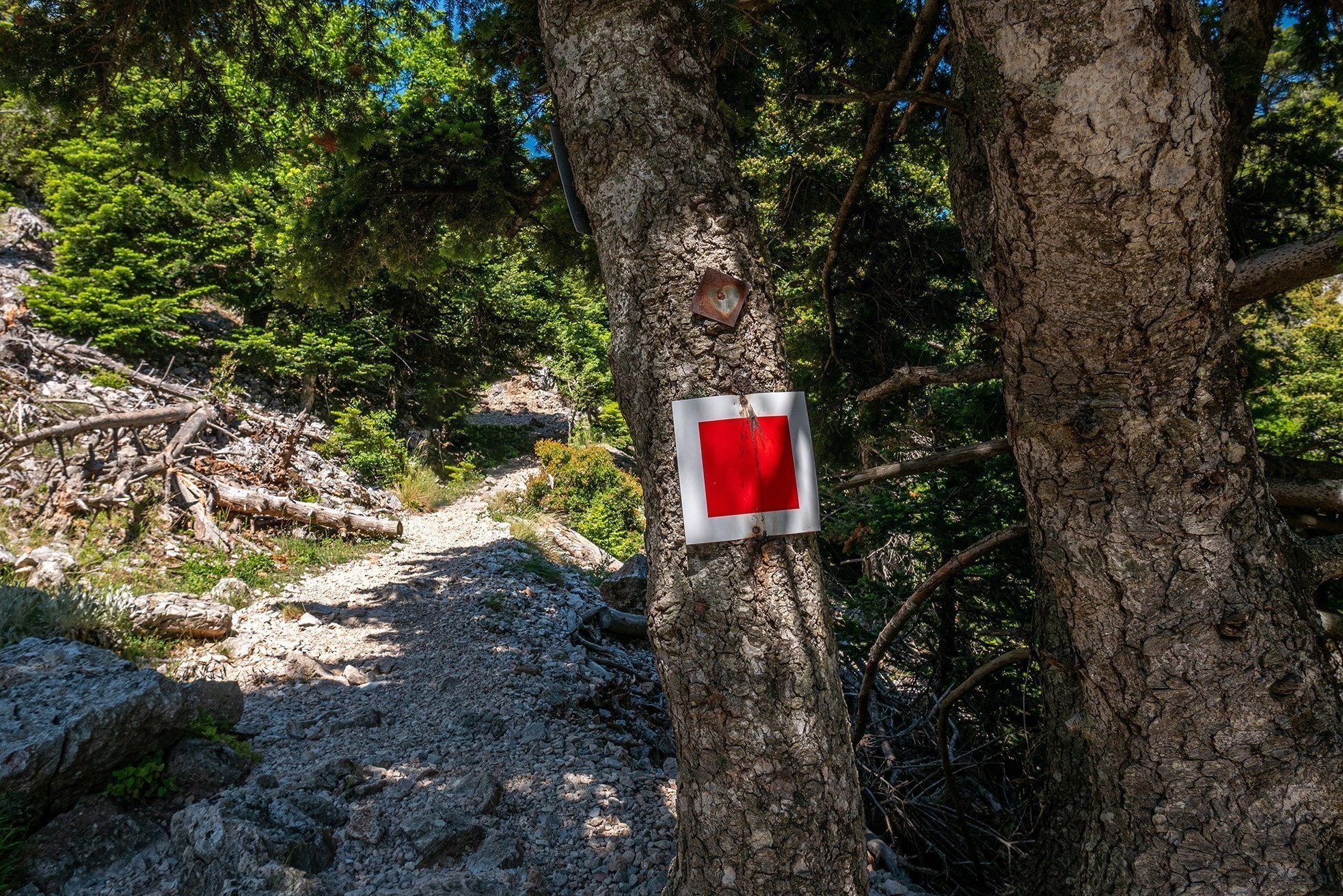 Ο χαμένος παράδεισος: Ανάβαση στην Πάρνηθα από τη χαράδρα της Χούνης
