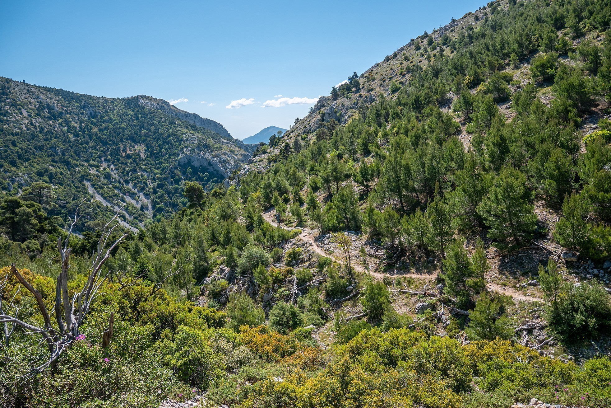 Ο χαμένος παράδεισος: Ανάβαση στην Πάρνηθα από τη χαράδρα της Χούνης