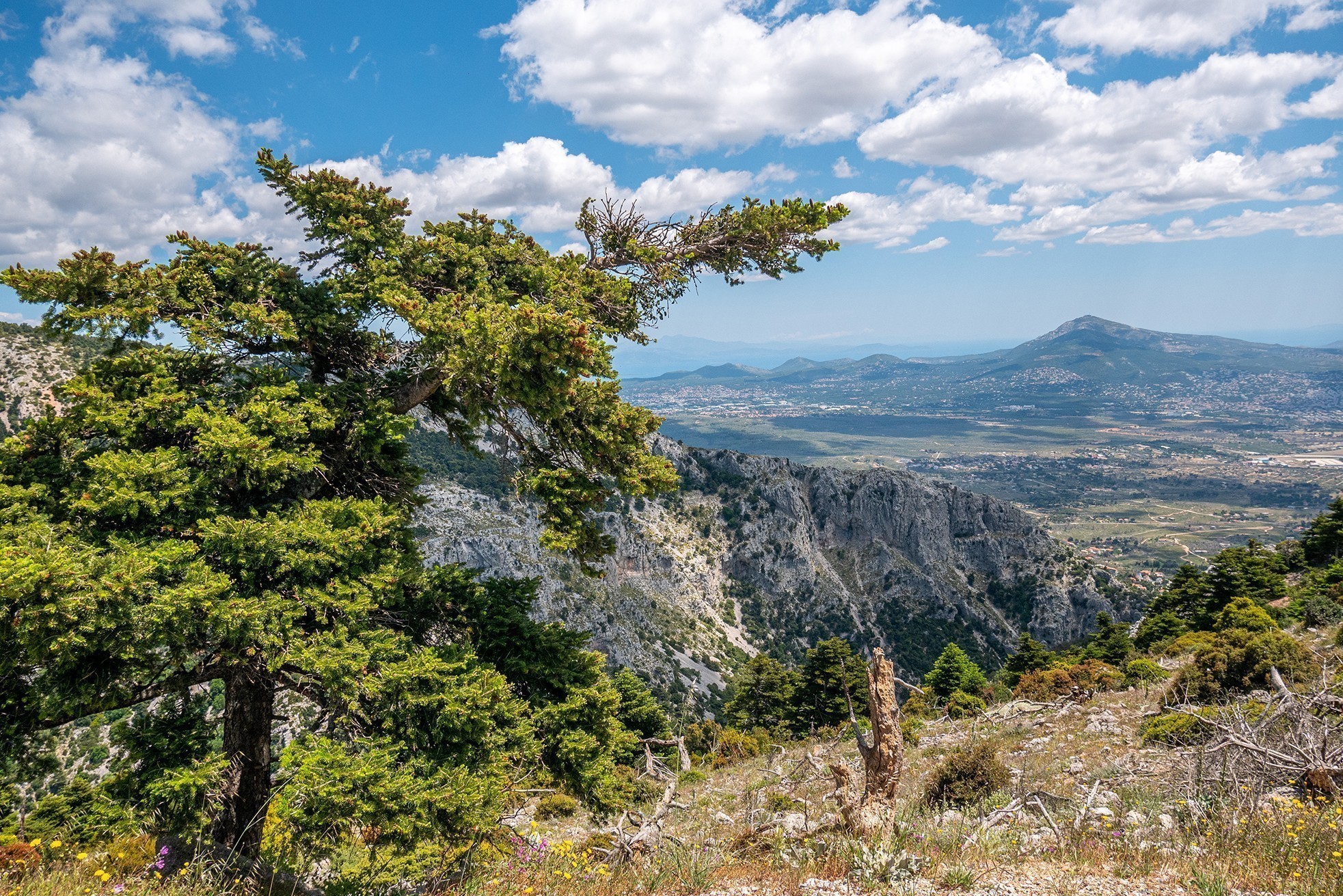 Ο χαμένος παράδεισος: Ανάβαση στην Πάρνηθα από τη χαράδρα της Χούνης