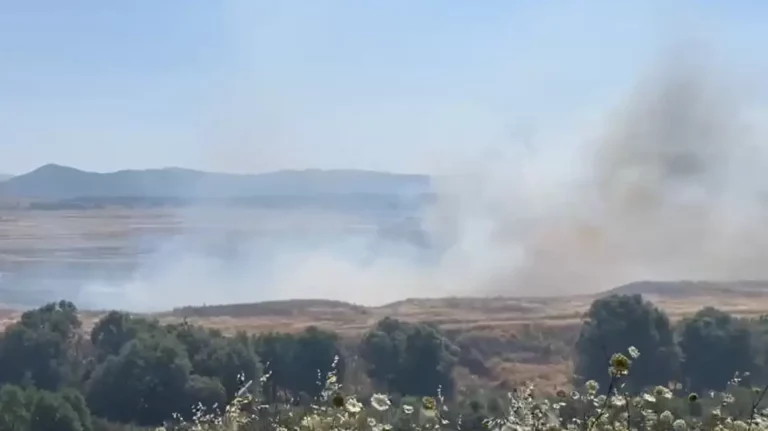 Αρκαδία: Φωτιά στη Μεγαλόπολη – Μήνυμα 112 για εκκένωση (vids)