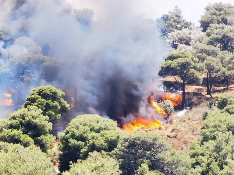 Τρεις συλλήψεις για εμπρησμό σε Ραφήνα, Σαλαμίνα και Πόρο