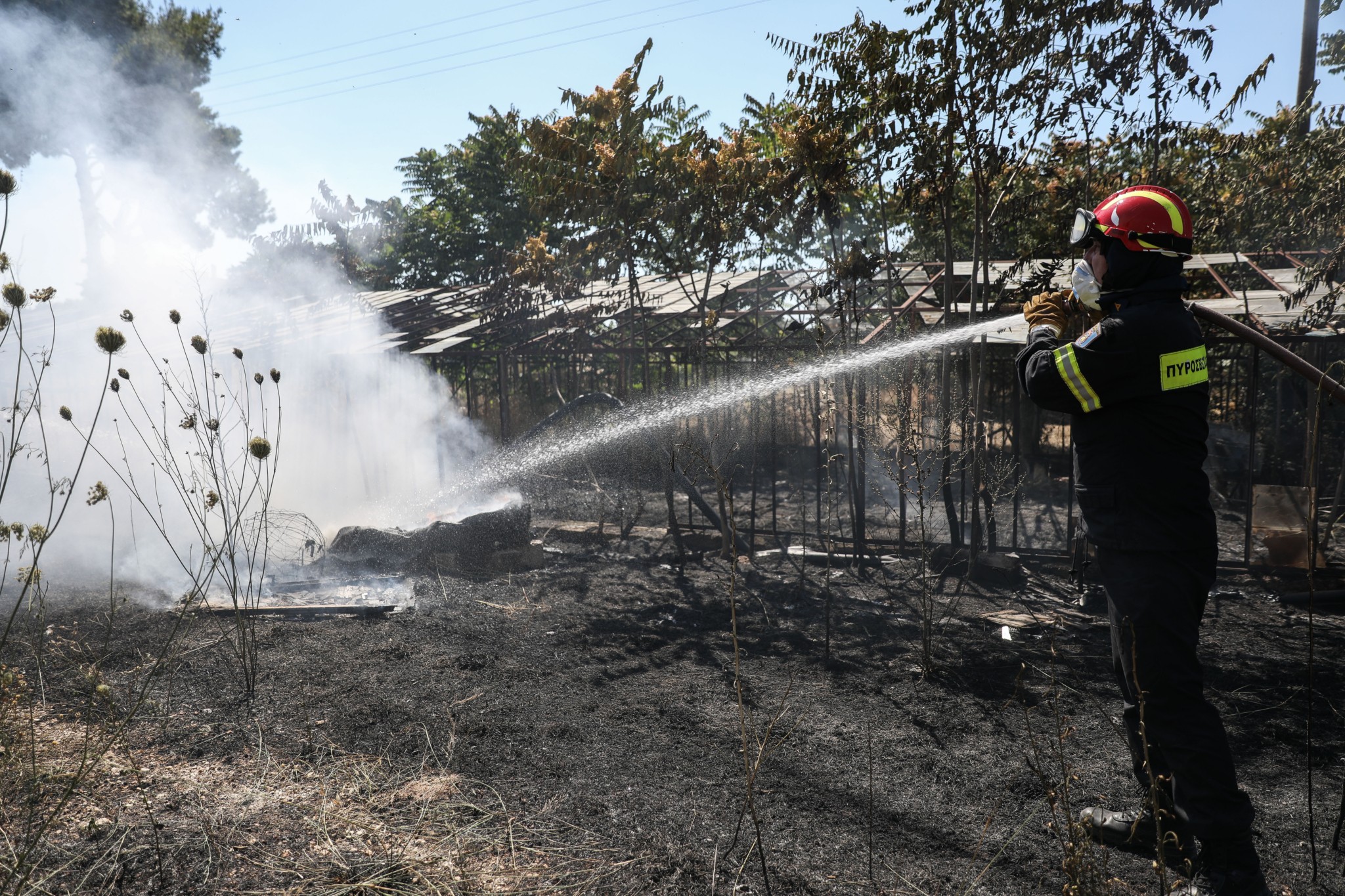 Ακαθάριστα οικόπεδα: Η προθεσμία λήγει – Τι πρέπει να γνωρίζουν οι πολίτες (vid)
