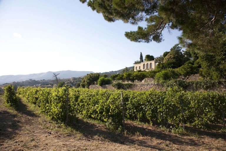 Οινοτουρισμός: Κερδίζει έδαφος η ανάπτυξή του στην Ελλάδα