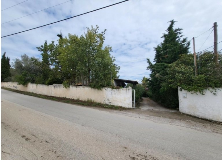 Οικογένεια Τσαντίλη: Οδεύουν ξανά προς το σφυρί οι εξοχικές κατοικίες στην Αυλίδα (pics)